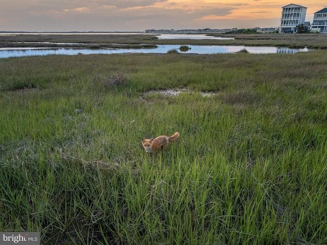 117 76th St Unit 302, Ocean City, MD 21842 - water view