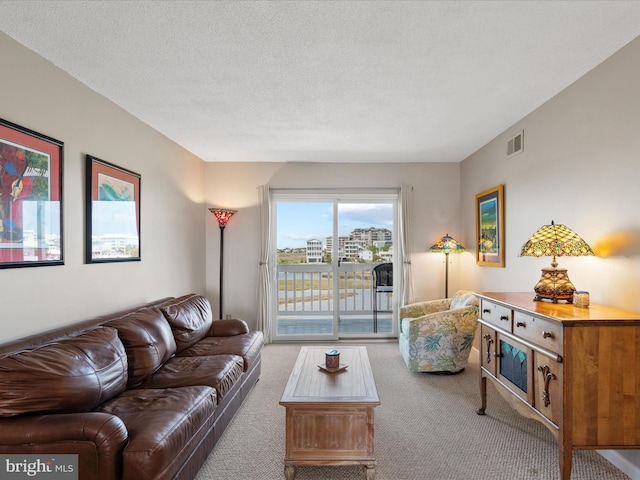 117 76th St Unit 302, Ocean City, MD 21842 - living room with carpet