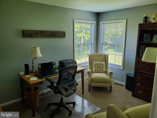 225 Canonero Dr, Bear, DE 19701 - office area featuring carpet flooring and baseboards
