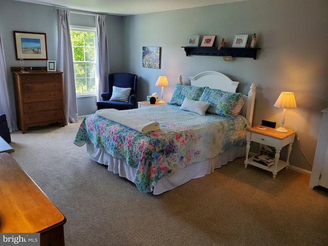 225 Canonero Dr, Bear, DE 19701 - view of carpeted bedroom
