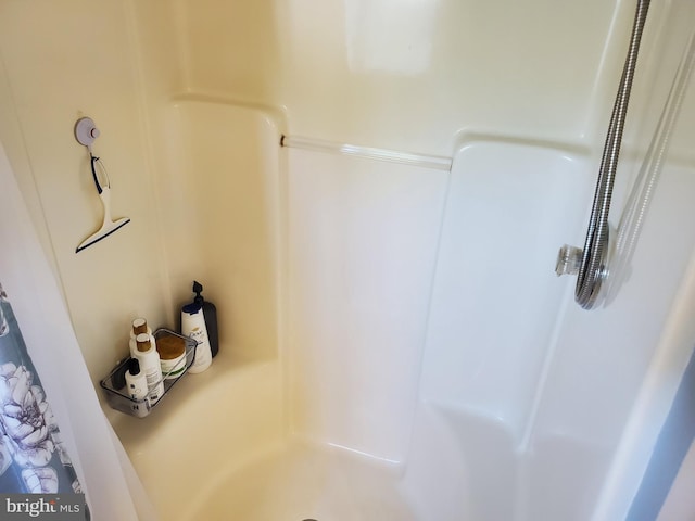 225 Canonero Dr, Bear, DE 19701 - bathroom view of a shower