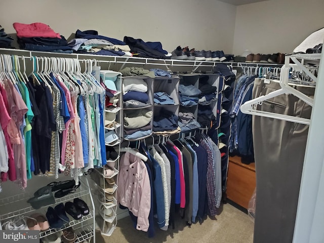 225 Canonero Dr, Bear, DE 19701 - walk in closet featuring carpet flooring