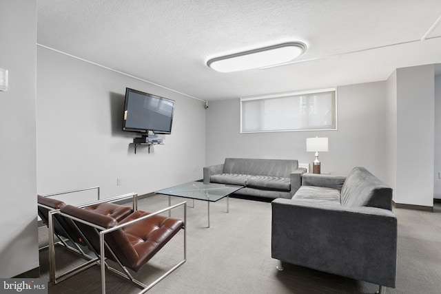 living area with carpet and a textured ceiling