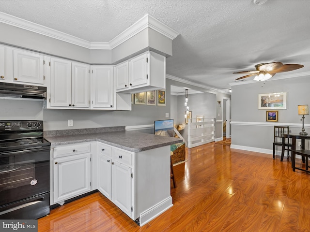 35775 Clam Ave, Frankford, DE 19945 - kitchen with black range with electric cooktop, under cabinet range hood, a textured ceiling, ceiling fan, and light wood finished floors