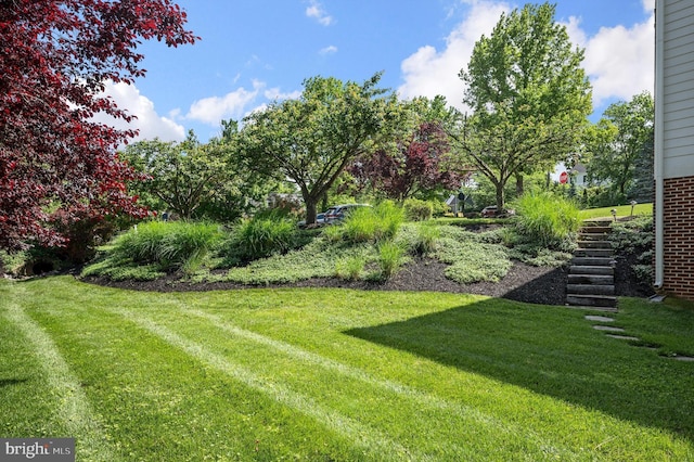 801 Armistead St, Winchester, VA 22601 - view of grassy yard with stairway