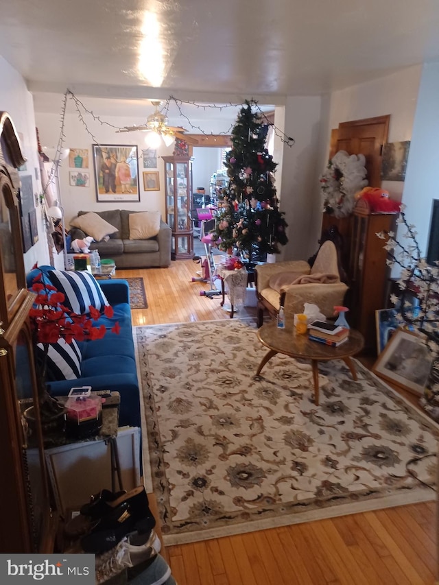 8231 Craig St, Philadelphia, PA 19136 - living room with hardwood / wood-style floors