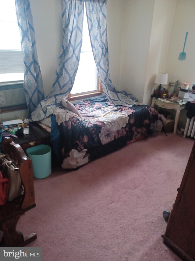 8231 Craig St, Philadelphia, PA 19136 - view of carpeted bedroom
