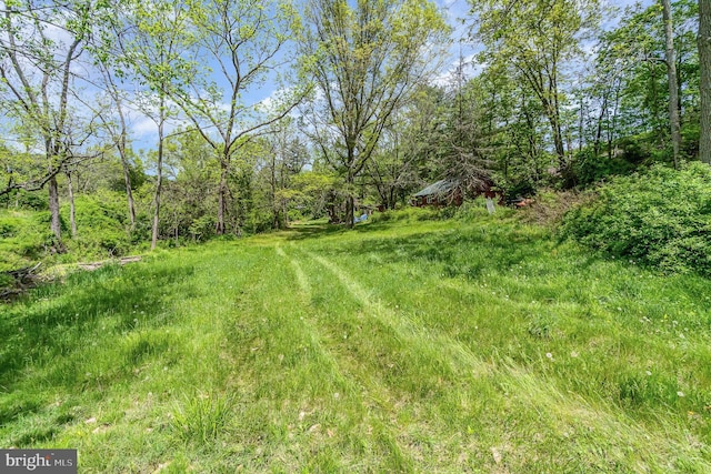 1063 Owl Hollow Rd, Millerstown, PA 17062