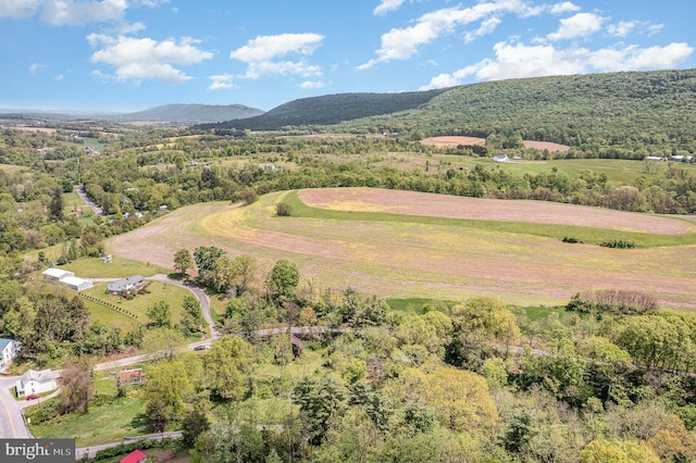 1063 Owl Hollow Rd, Millerstown, PA 17062