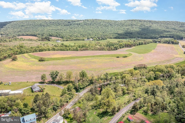 1063 Owl Hollow Rd, Millerstown, PA 17062