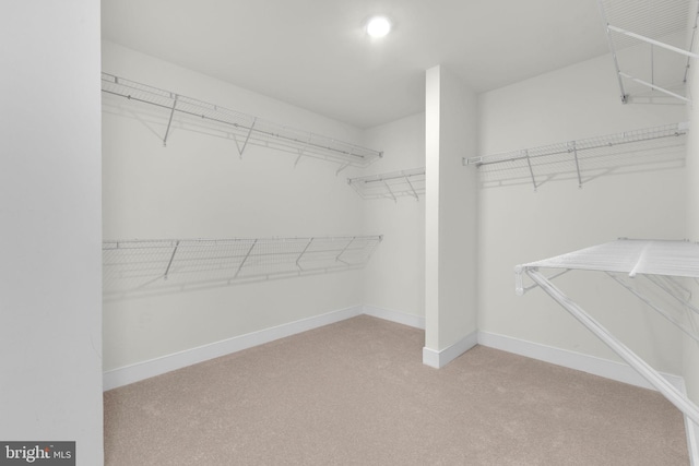1552 Meadowlark Glen Rd, Dumfries, VA 22026 - walk in closet featuring carpet floors