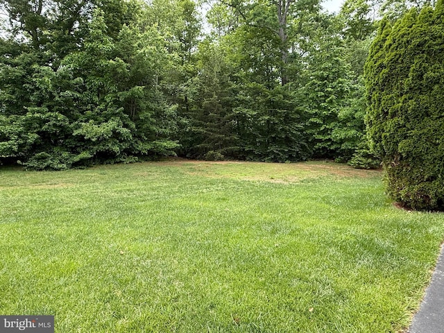 5280 Gunston Hall Dr, Woodbridge, VA 22193 - view of green lawn featuring a view of trees