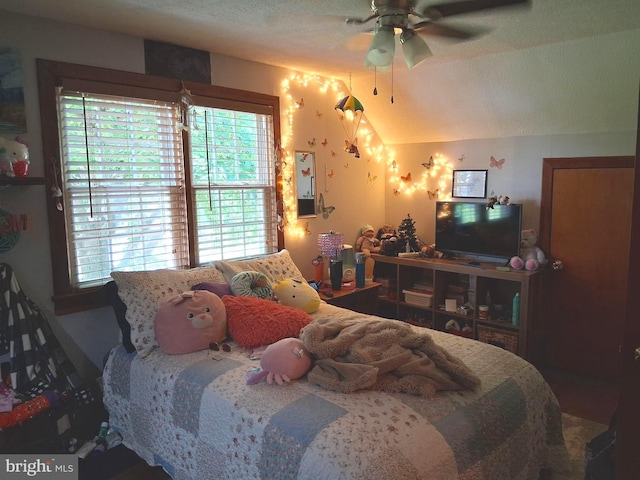234 Bethel Grange Rd, Winchester, VA 22603 - bedroom with multiple windows, ceiling fan, and vaulted ceiling