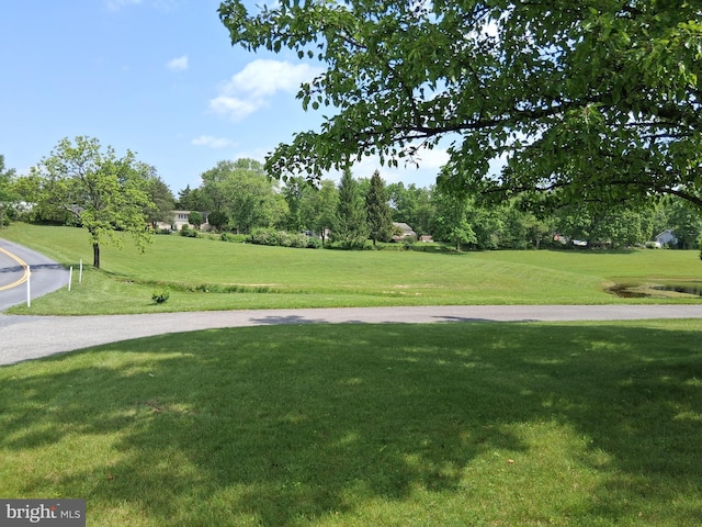 234 Bethel Grange Rd, Winchester, VA 22603 - surrounding community featuring a yard and view of scattered trees
