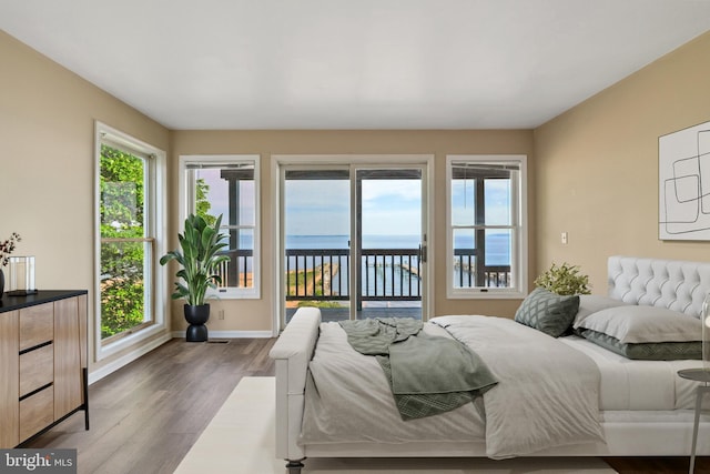 bedroom with access to exterior, multiple windows, dark wood finished floors, and baseboards