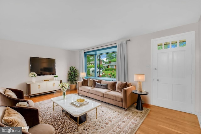 living room with light wood-style floors