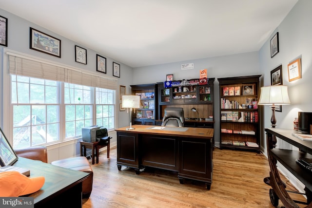 office space featuring light wood finished floors