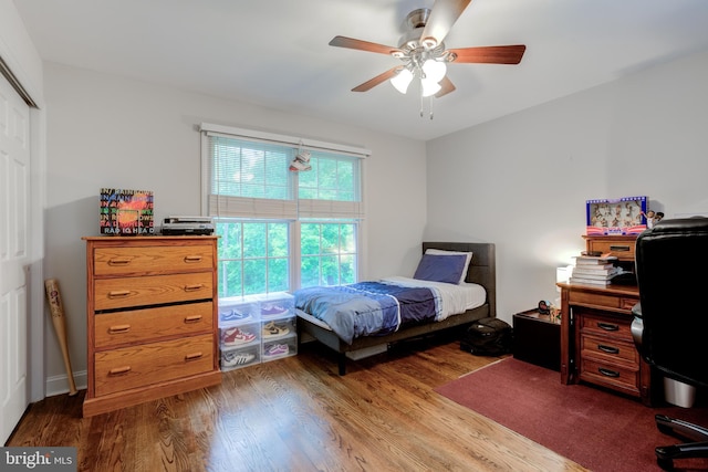 bedroom with wood finished floors, a closet, and a ceiling fan