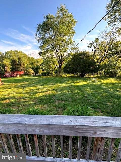 view of green lawn