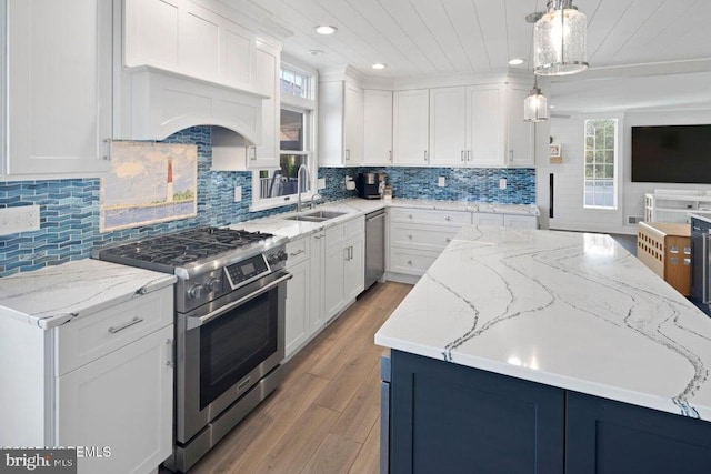 kitchen with appliances with stainless steel finishes, a sink, plenty of natural light, light wood-style flooring, and recessed lighting