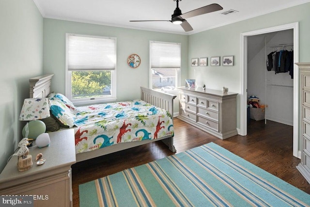 bedroom with dark wood finished floors, a walk in closet, crown molding, a closet, and ceiling fan