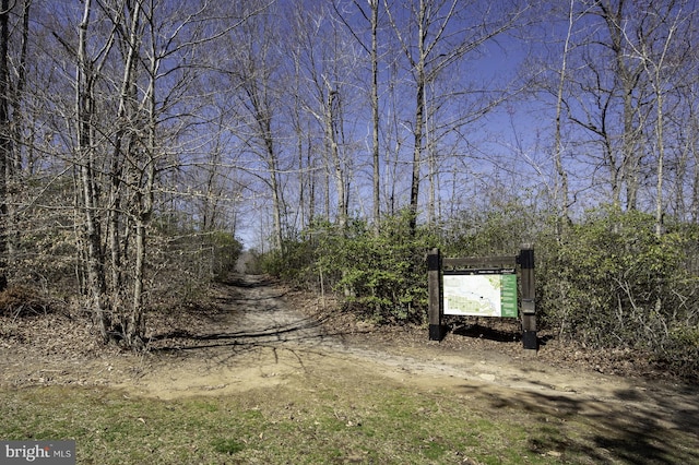view of local wilderness