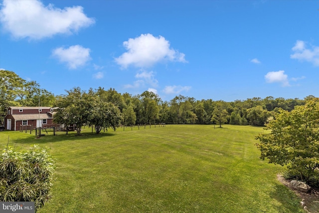 view of green lawn