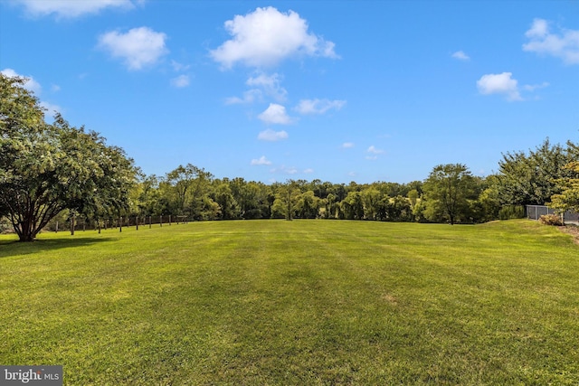 view of grassy yard