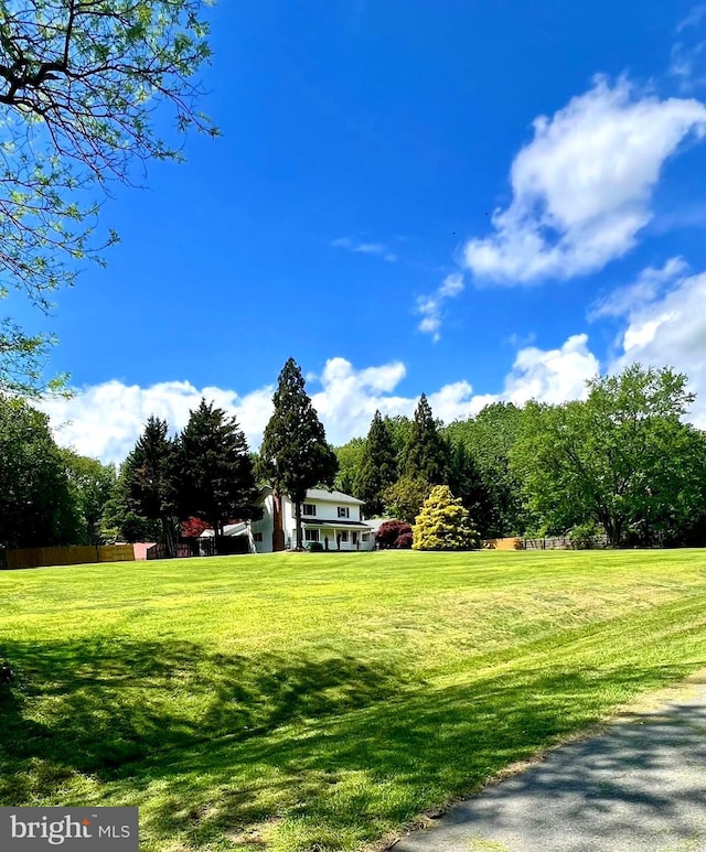 view of yard