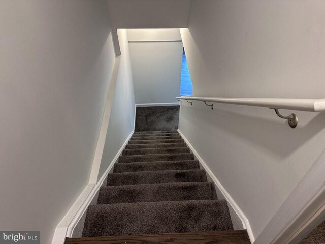 51 Healey Ct, Bunker Hill, WV 25413 - staircase featuring carpet and baseboards