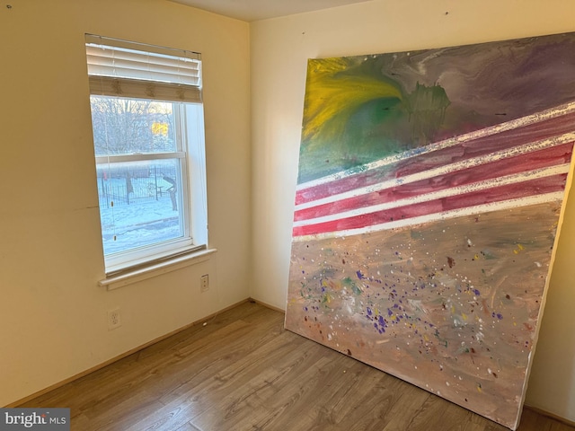 918 Ramsay St, Baltimore, MD 21223 - detailed view of wood finished floors