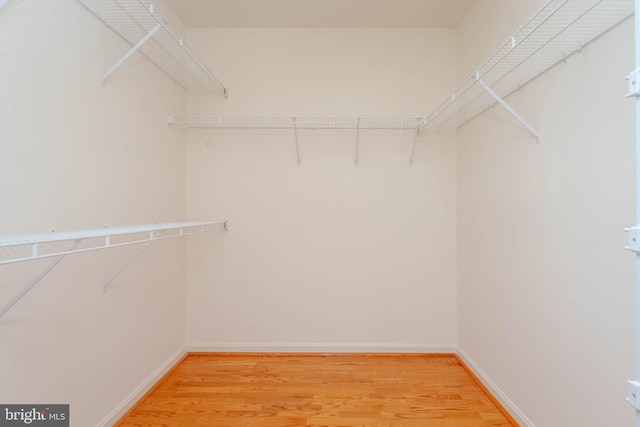 spacious closet featuring light wood-style floors
