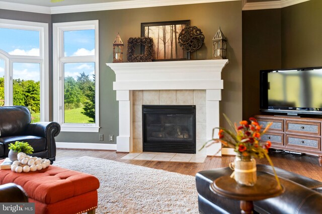 20550 Wildbrook Ct, Ashburn, VA 20147 - living room featuring healthy amount of natural light, crown molding, a fireplace, and wood finished floors