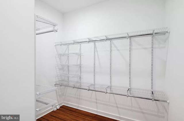 walk in closet with dark wood-style floors
