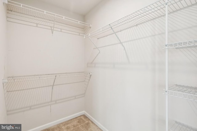114 Commerce Center Dr, Sicklerville, NJ 08081 - walk in closet with carpet