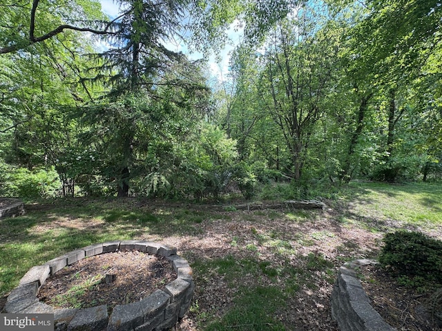 view of yard featuring an outdoor fire pit and a view of trees