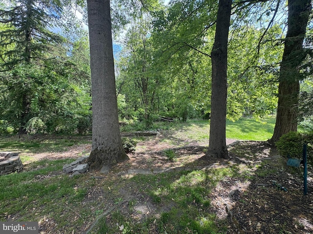 view of tree filled area