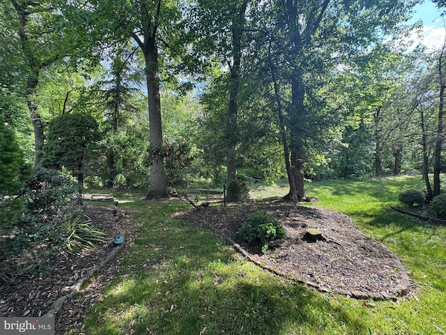 view of green lawn