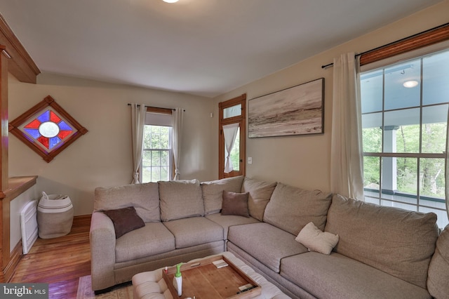 living room featuring wood finished floors and baseboards