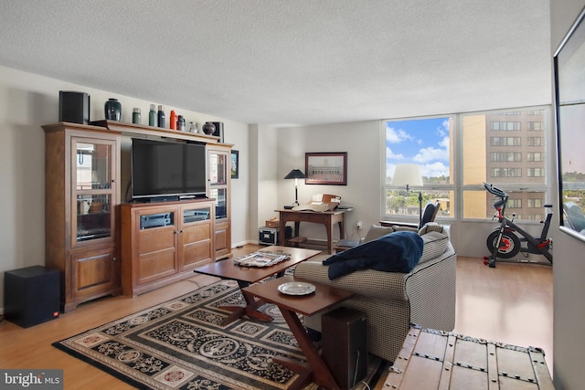 205 E Joppa Rd Unit 608, Towson, MD 21286 - living area featuring light wood finished floors and a textured ceiling