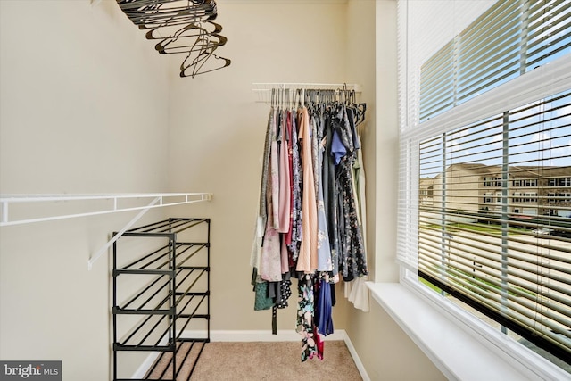 1550 Matthew Dr, York, PA 17404 - spacious closet featuring carpet flooring