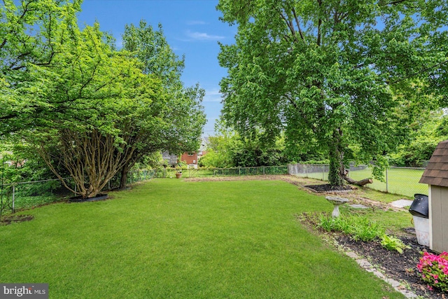 view of yard