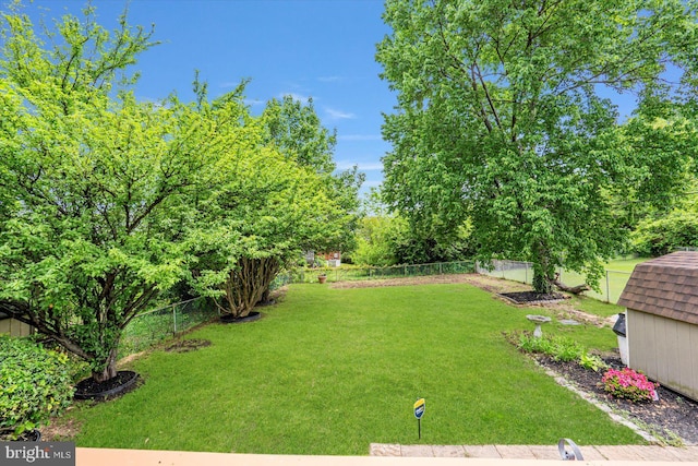 view of yard