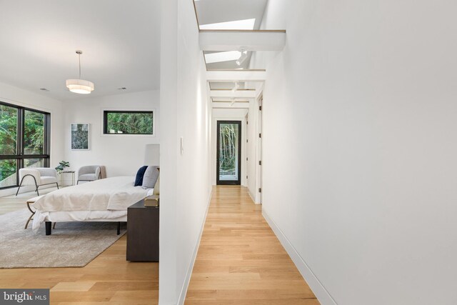 3554 Military Rd, Arlington, VA 22207 - bedroom with light wood-style flooring, a skylight, and baseboards