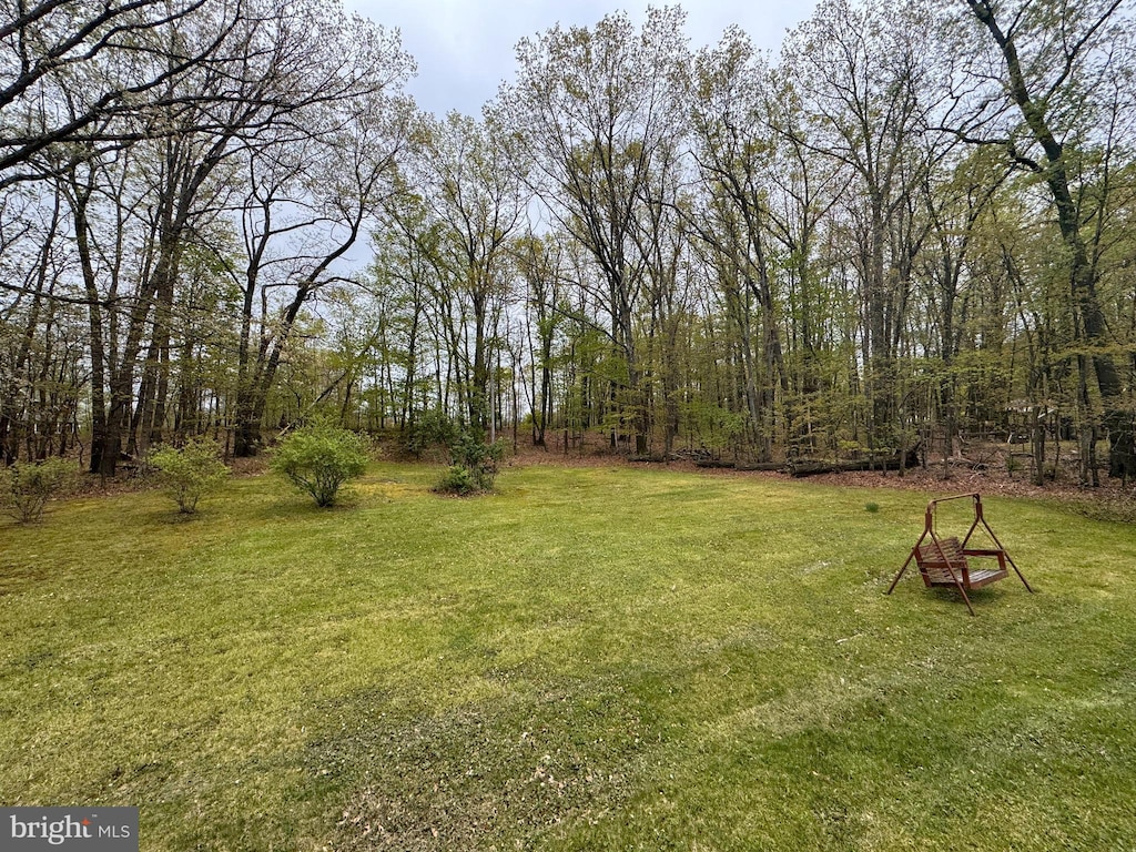 view of green lawn
