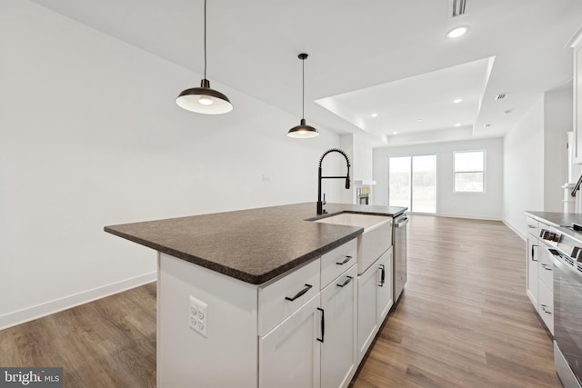 kitchen with dark countertops, light wood-style floors, a sink, a tray ceiling, and a kitchen island with sink