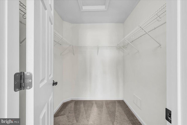 308 Galloway St, Middletown, DE 19709 - walk in closet with carpet
