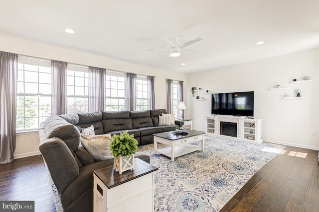 1303 Officers Row, Delaware City, DE 19706 - living area with ceiling fan, dark wood-style floors, baseboards, recessed lighting, and a fireplace