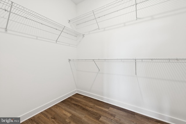 walk in closet featuring dark wood-style flooring