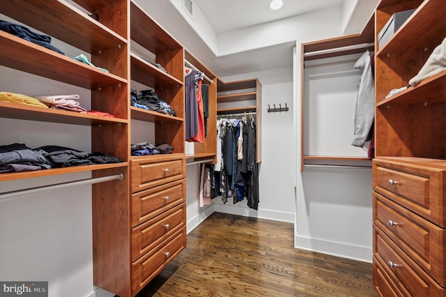 1113 Fitzwater St Unit A, Philadelphia, PA 19147 - walk in closet featuring dark wood-style flooring